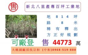 新北八里產專百坪工業地ABCD