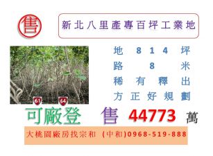 新北八里產專百坪工業地ABCD
