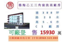 楊梅乙工三角窗挑高廠房
