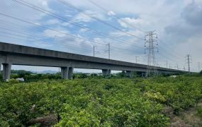 高雄新市鎮S廊帶旁107坪土地出售｜地形方正、近台39線與國道一號交流道