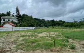 高雄大社觀音山翠屏路方正地坪108坪|可規劃倉儲、加工廠、休閒用地