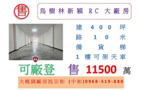 烏樹林新穎RC大廠房