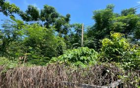 鳥松稀有釋出｜360坪黃金三角農地｜雙面臨路好規劃 近捷運黃線與仁美國小