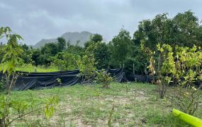 大社中山路一段三向通路農地出售｜近國道十號觀音山，設擋土牆土地好規劃