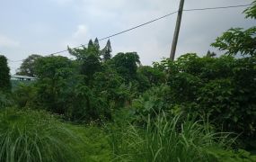 【售】大溪近市區乙工 L00855