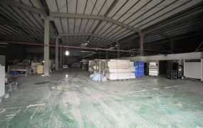 【租】南崁交流道大坪數工業廠房 FT10104