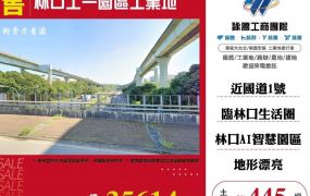 【售】林口工一園區工業地LY01540