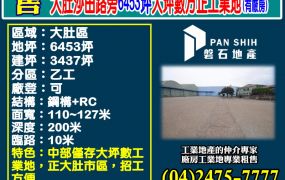 大肚沙田路旁6453坪大坪數方正工業地(有廠房)