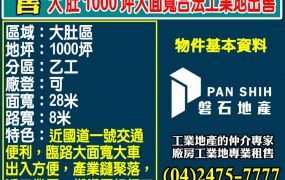 大肚1000坪大面寬合法工業地出售