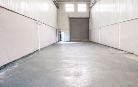 大樹最便宜乙工廠房  貨櫃可進＋可架天車｜僅此一間(97)