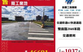 捷運A11站20米路大面寬工業地