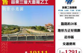 苗栗三灣大面寬乙工