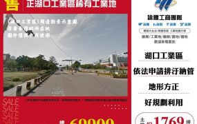 正湖口工業區稀有工業地