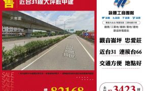 近台31線大坪數甲建