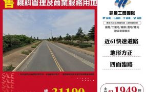 桃科管理及商業服務用地