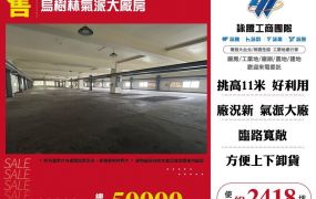烏樹林氣派大廠房
