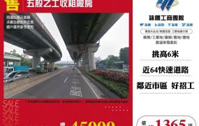 五股乙工收租廠房