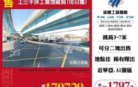 工三千坪工業地廠房(可分售)