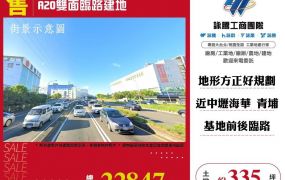 A20雙面臨路建地