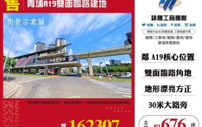 青埔A19雙面臨路建地