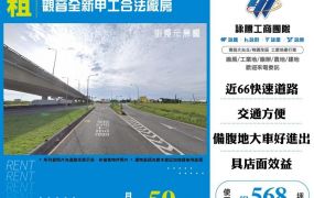 觀音全新甲工合法廠房