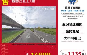 ⭐【售】觀音方正工+農-LT01916
