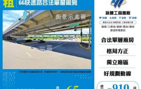 66快速路合法單層廠房