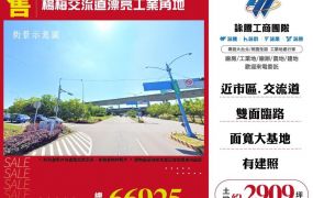 楊梅交流道漂亮工業角地