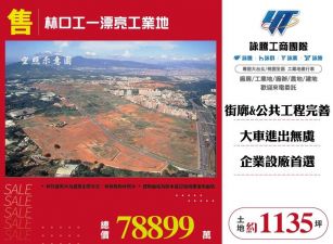林口工一漂亮工業地/雙北桃園新竹苗栗工業地廠房買賣出租