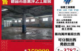 觀音市區萬坪乙工廠房