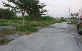 路竹社區旁小農地