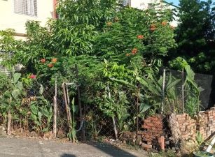 屏東里港三和國小社區漂亮大面寬建地