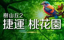 樹山丘2-捷運桃花園