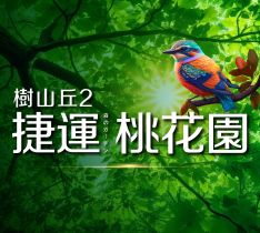 樹山丘2-捷運桃花園