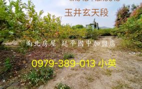 玉井玄天段四分芭樂果園農地