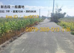 安定新吉近國8農地