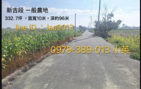 安定新吉近國8農地