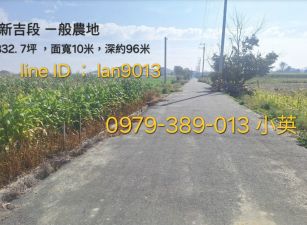 安定新吉近國8農地