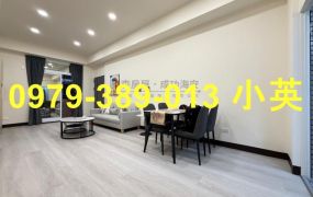 近南科善化啤酒廠ㄧ樓二房平車