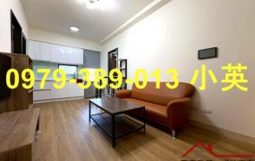 安平市政特區全新兩房家電車位