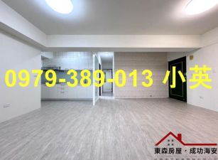 新化大新國小明亮三房平車