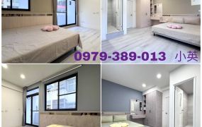 新化統一花園整新三房中庭透天