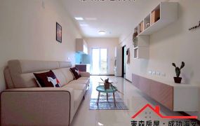 善化南科安慶時尚全新兩房