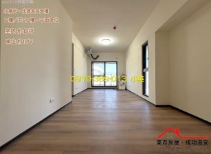 永康佳晟家安全新兩房平車