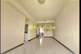 新市國小摩登都會三房電寓