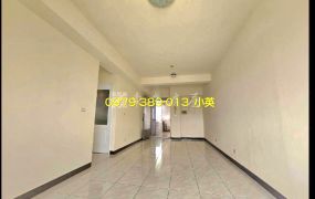 新市國小摩登都會三房電寓