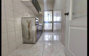 新市國小摩登都會三房電寓