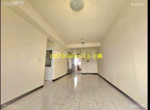 新市國小摩登都會三房電寓