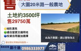 大園20米路農地